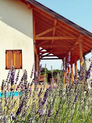 Дома для отпуска Holiday home Magnolia Радановичи Дом для отпуска-10