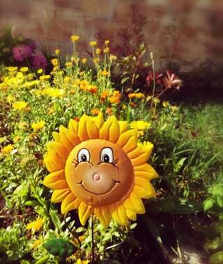 Дома для отпуска Holiday home Magnolia Радановичи Дом для отпуска-46